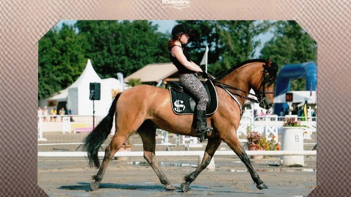 ab lamotte 2013 2